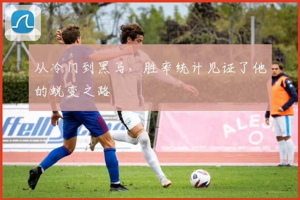 从冷门到黑马，胜率统计见证了他的蜕变之路